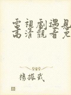 电视剧遇见幸福高清观看免费