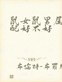 鼠女鼠男属相婚配好不好