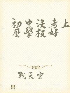 初中没考上读什么学校好