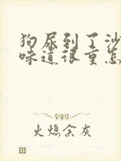 狗尿到了沙发上味道很重怎么办