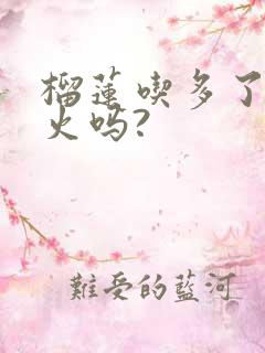 榴莲吃多了会上火吗?