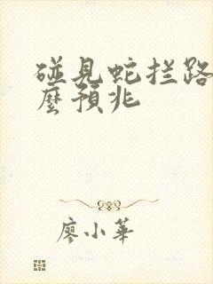 碰见蛇拦路是什么预兆