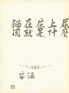 猫在床上尿的原因就是什么