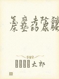 怎么去除猫咪尿床垫的尿骚味道