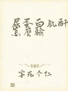 尿蛋白肌酐比值怎么验