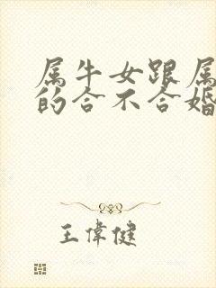 属牛女跟属兔男的合不合婚