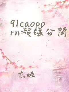 91caoporn超碰公开人人