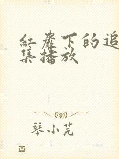 红岩下的追捕全集播放