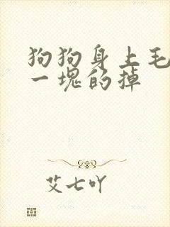 狗狗身上毛一块一块的掉