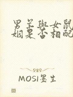 男羊与女鼠的婚姻是否相配