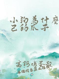 小狗为什么咬自己的爪子