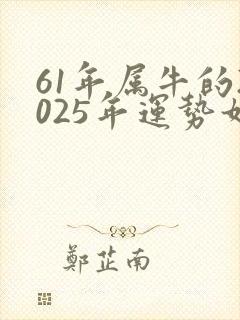 61年属牛的2025年运势如何