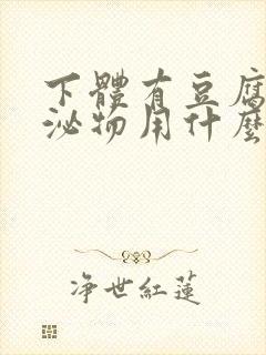 下体有豆腐渣分泌物用什么药