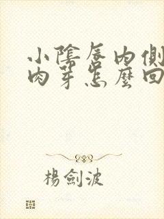 小阴唇内侧长小肉芽怎么回事