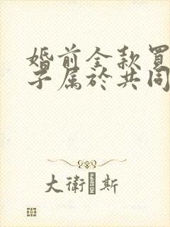 婚前全款买的房子属于共同财产吗