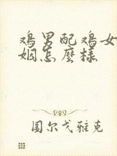 鸡男配鸡女的婚姻怎么样