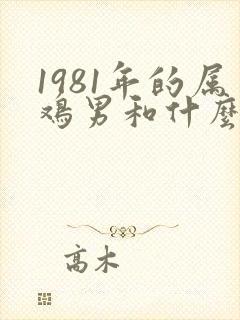 1981年的属鸡男和什么属相最好