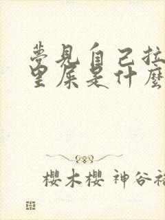 梦见自己拉裤子里屎是什么预兆