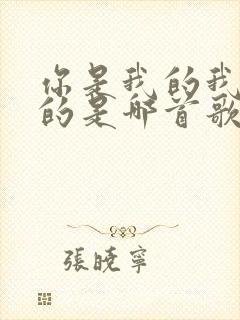 你是我的我是你的是哪首歌的歌词