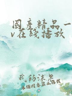 国产精品一级av在线播放