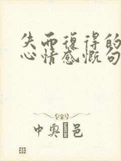 失而复得的喜悦心情感慨句子