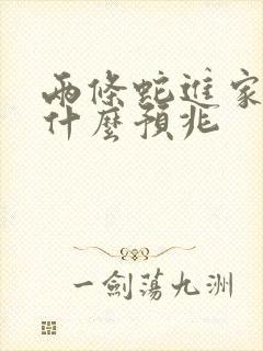 两条蛇进家里是什么预兆