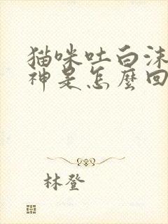 猫咪吐白沫没精神是怎么回事