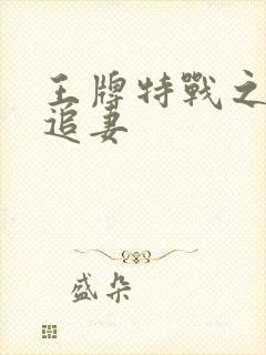 王牌特战之军少追妻