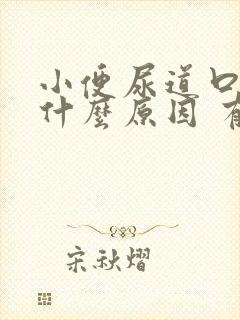 小便尿道口刺痛什么原因 有一点漏尿