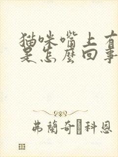 猫咪嘴上有粘液是怎么回事