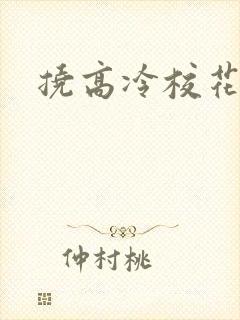 挠高冷校花脚心