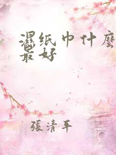 湿纸巾什么牌子最好