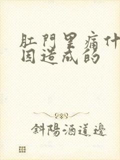 肛门里痛什么原因造成的