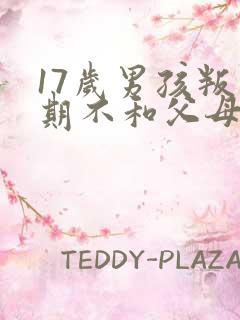 17岁男孩叛逆期不和父母沟通怎么办