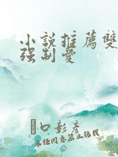 小说推荐双男主强制爱