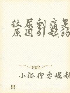 拉尿刺痛是什么原因引起的