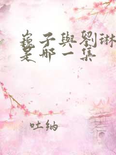 巍子与刘琳吻戏是哪一集