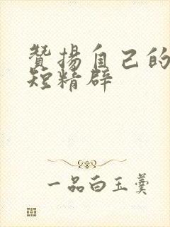 赞扬自己的话简短精辟