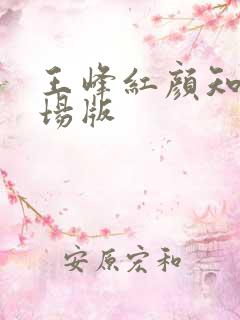 王峰红颜知己现场版