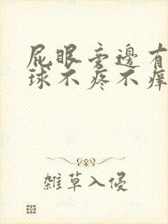 屁眼旁边有个肉球不疼不痒