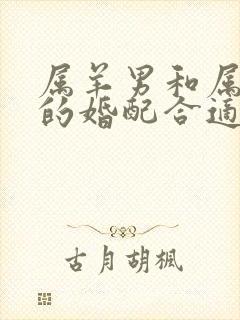 属羊男和属龙女的婚配合适吗