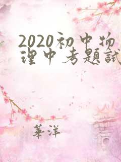 2020初中物理中考题试卷及答案