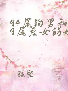 94属狗男和99属兔女的姻缘