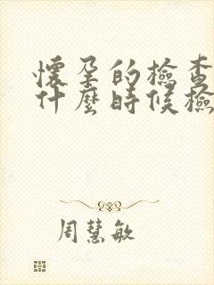 怀孕的检查nt什么时候检查