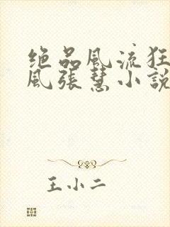 绝品风流狂医林风张慧小说电子书