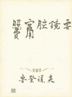 照宫腔镜要多少费用