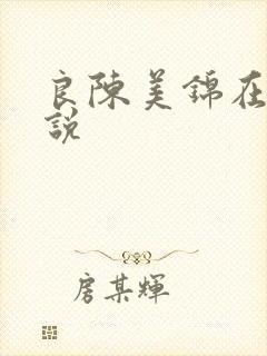 良陈美锦在线小说