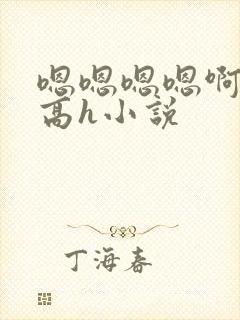 嗯嗯嗯嗯啊啊啊高h小说