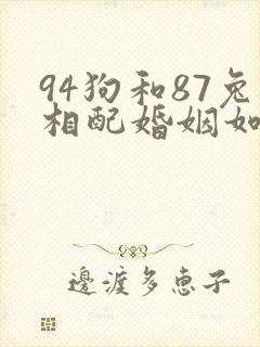 94狗和87兔相配婚姻如何