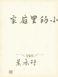 家庭里的小故事